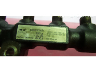 Vstřikovací lišta Citroen Berlingo pro naftový motor 1.6