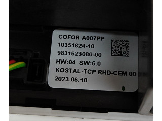 Дисплей    9831623080, 9840456580   Citroen C4 III e-C4