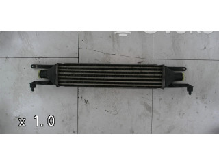Интеркулер  0000050540161   Fiat Punto Evo 