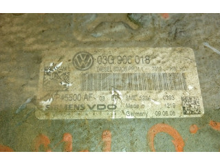 Řídící jednotka 03G906018 Volkswagen Passat Alltrack 2005