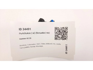Vstřikovač 25317628, 2123B   Hummer H2  pro benzínový motor 6.0  