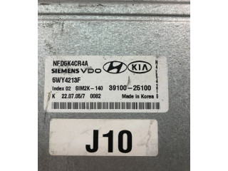 Блок управления двигателем Блок управления 3910025100 Hyundai Sonata