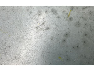 Блок комфорта 8K0959663, 11002100 Audi RS3 8PA