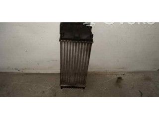 Интеркулер 874964GJ, 9645965180 Citroen Xsara Picasso 1.6
