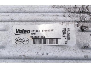 Интеркулер 9648551880 Citroen C4 I