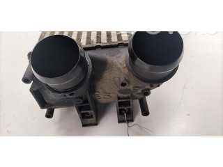 Интеркулер 00000384N9 Citroen C4 II
