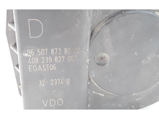 Volant Citroen C5 2005 9650787380