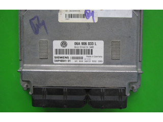 Řídící jednotka 06A906033L, 5WP40041 Volkswagen Beetle A5 2000