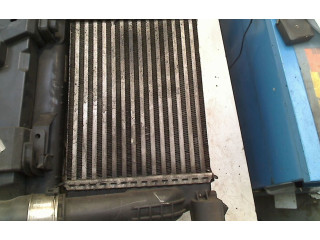 Интеркулер 144961381R, 144961381R Renault Clio II