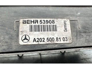 Подушка безопасности пассажира A2025008103, A2025008103 Mercedes-Benz CLK A208 C208