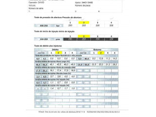 Форсунка 166008399R    Renault Clio IV   