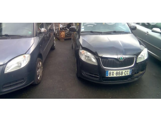 Блок управления климат-контролем NT Skoda Fabia Mk2 (5J)