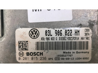 Řídící jednotka 03L906022HM, 03L906022G Ferrari 250 GTO 1900