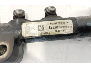 Топливная рампа 968475308002, 2849Z01 Citroen C4 I