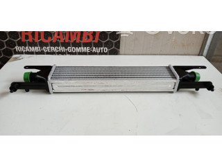 Интеркулер  55700449, 55700449   Fiat Punto Evo 