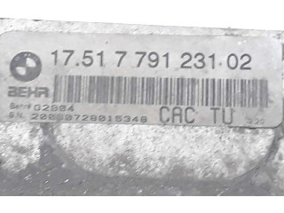 Интеркулер 17517791231 BMW X5 E53 3.0