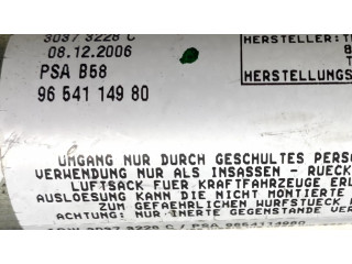 Боковая подушка безопасности 9654114980, 30373228C Citroen C4 I Picasso