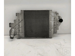 Интеркулер 8200685747, 8200252209 Renault Clio II