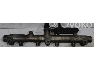 Топливная рампа Lancia Phedra