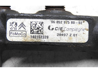 Топливная рампа 9685297580, 140162328   Citroen C4 II Picasso  