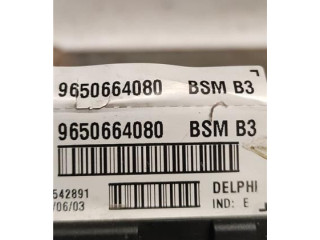 Блок предохранителей 9650664080   Peugeot 406    