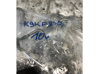 Топливная рампа 8200584034, 8200379933 Renault Scenic III - Grand scenic III для двигателя K9KF830