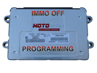 Řídící jednotka 9661191880, 9655883280 Citroen Berlingo 2004