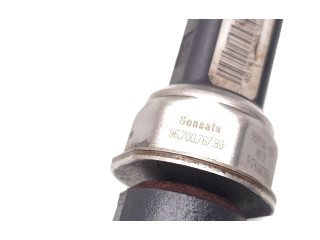 Топливная рампа 9685297580, 142513193   Peugeot Expert   для двигателя 9HM(DV6UC)