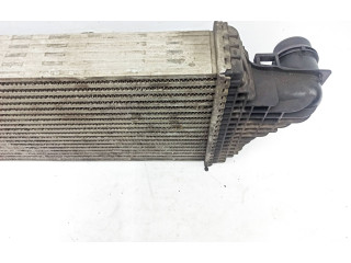 Интеркулер     Mercedes-Benz R W251 