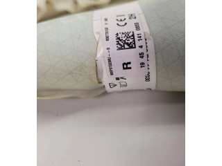 Надувная подушка для крыши