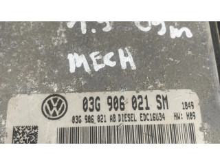 Řídící jednotka 03G906021SM, 03G906021AB Seat Altea 2007