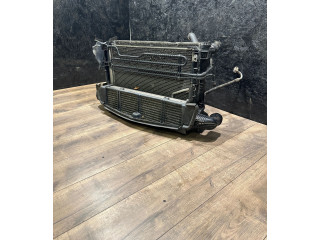 Pojistková skříňka Комплект радиатора A2045003703 Mercedes-Benz C W204 2011