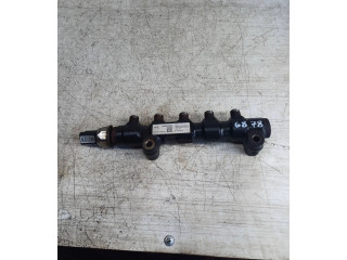 Топливная рампа 9654592680, 9654590   Peugeot Expert  