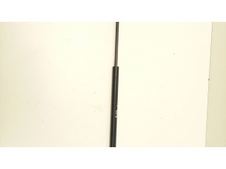 Задний амортизатор      