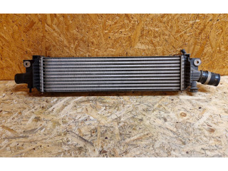 Интеркулер U8699003, 144611BY0A Infiniti EX