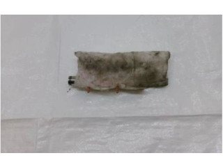 Боковая подушка безопасности    Jeep Compass