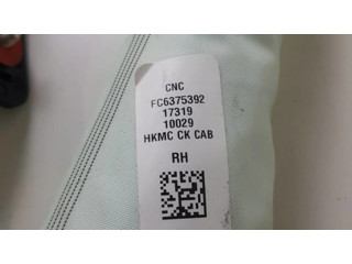 Надувная подушка для крыши