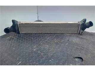 Интеркулер 8200409045 Dacia Logan I