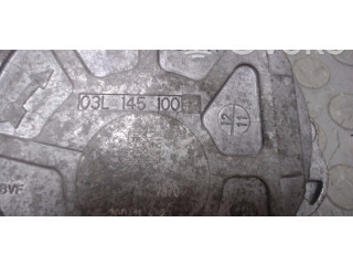 Вакуумный насос 03l145100F, 03L145100 Volkswagen Caddy