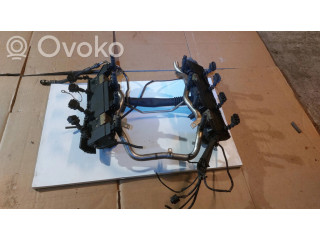 Vstřikovací lišta 1437443 BMW X5 E53 pro benzínový motor 4.4