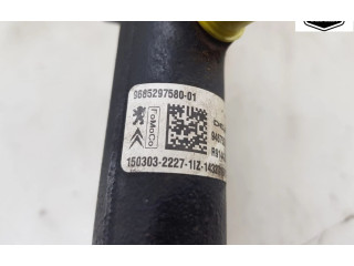 Vstřikovací lišta 9685297580, 9685297580   Citroen Berlingo    DV6FE(BHW) 