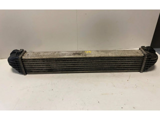 Радиатор интеркулера B1025 Mercedes-Benz A W169