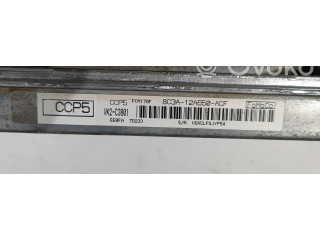 Блок управления двигателя 8C3A-12A650-ACF, VK2C3801   Ford F250