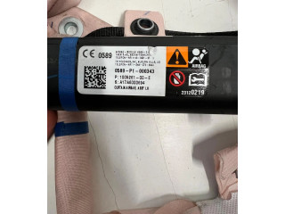 Боковая подушка безопасности A17A6000694, 0589P1000343 Tesla Model S