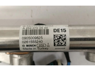 Комплект жиклеров (форсунок)    A2540700500, A2540700700   Mercedes-Benz E W214