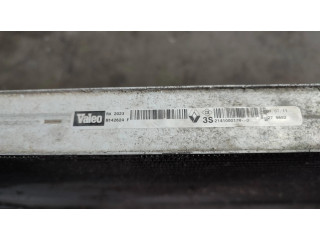 Радиатор охлаждающей жидкости