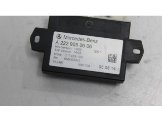 Vstřikovač A2229050606, C17433103 Mercedes-Benz S W222 642867 41 633985