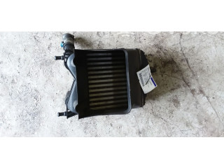 Интеркулер     Fiat Idea 