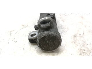 Топливная рампа 036133319B, 036031C   Volkswagen Golf IV  