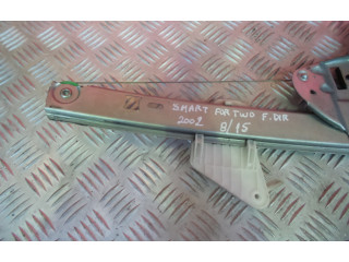 Рамка дверного стекла 119366XXX, 0130822001 Smart ForFour I